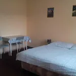 U Novych Pratel Guest house