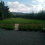 U Novych Pratel