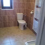 U Novych Pratel