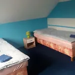 Guest house U Novych Pratel 3*