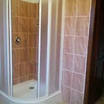 U Novych Pratel Guest house