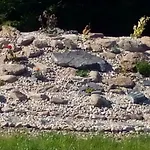 Guest house U Novych Pratel