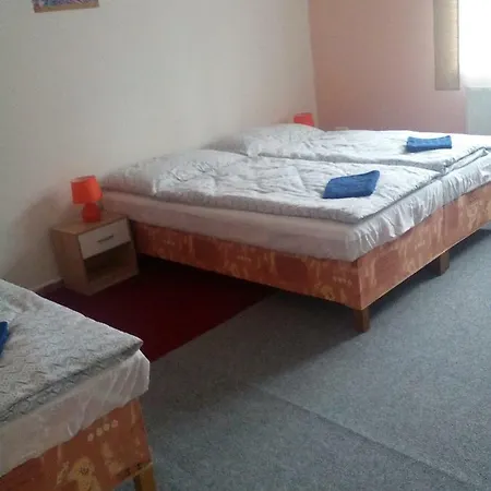 U Novych Pratel