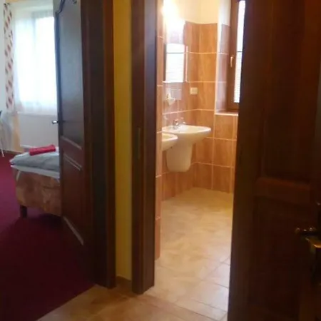 بيت ضيافة U Novych Pratel 3*