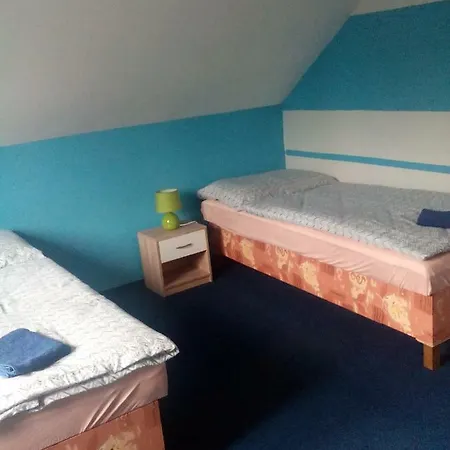 بيت ضيافة U Novych Pratel 3*