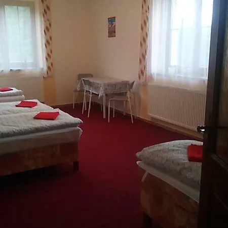 U Novych Pratel