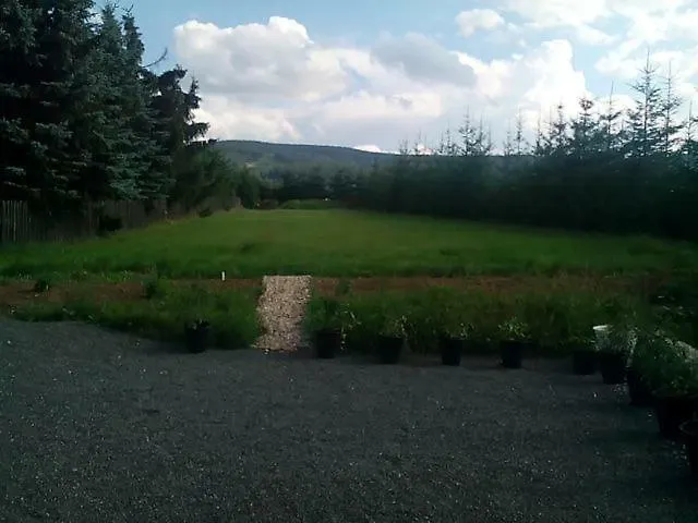 U Novych Pratel